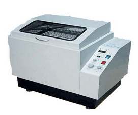 ZH-DS��������ʎ��